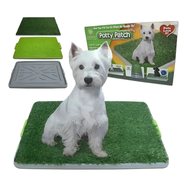 perro portada