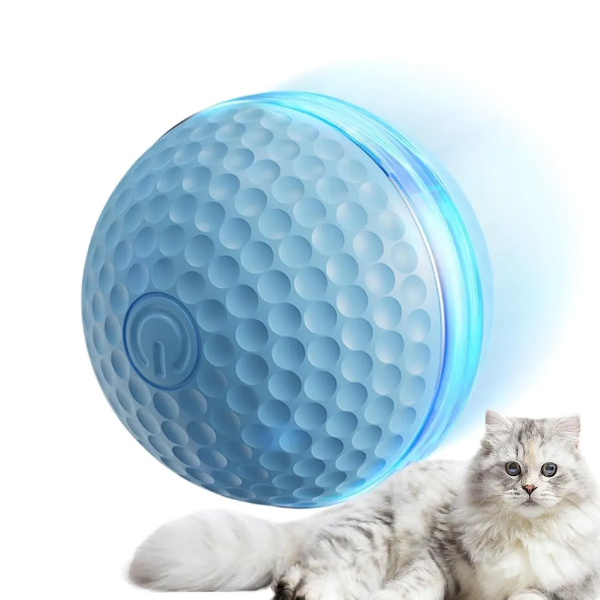 PELOTA